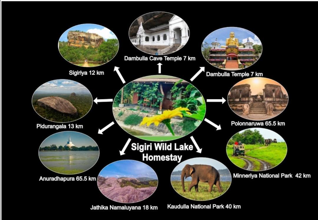 Sigiri Wild Lake Dambulla Ngoại thất bức ảnh